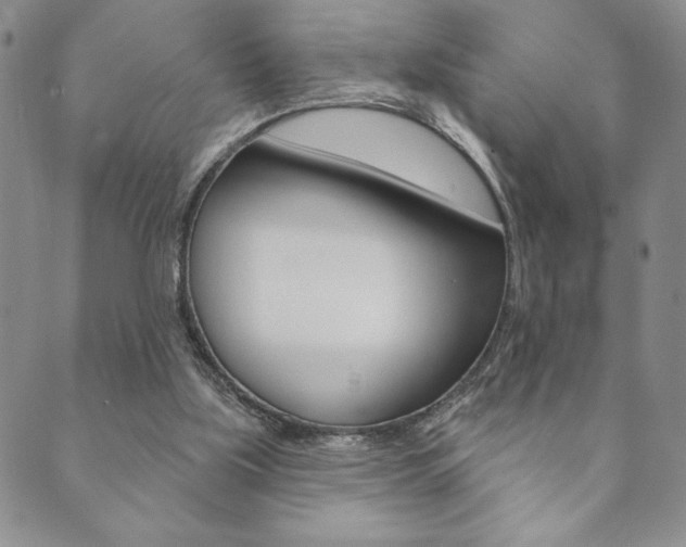 X0000089860059200706281020