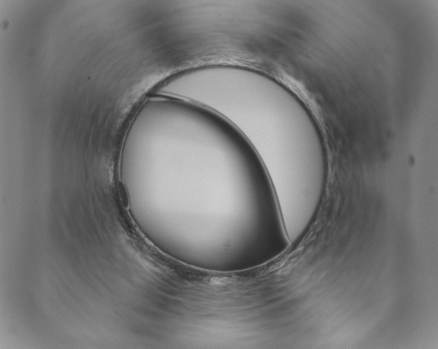 X0000089860060200706281020