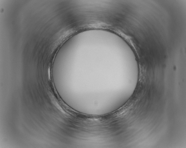 X0000089860061200706281020