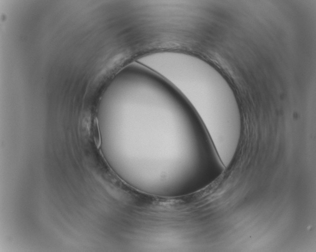 X0000089860072200706281020