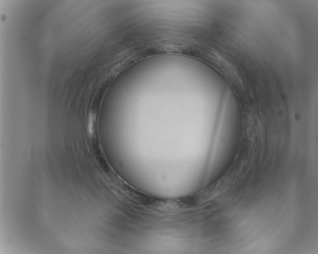 X0000089860075200706281020