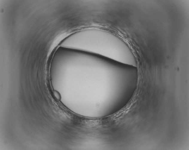 X0000089860102200706281019
