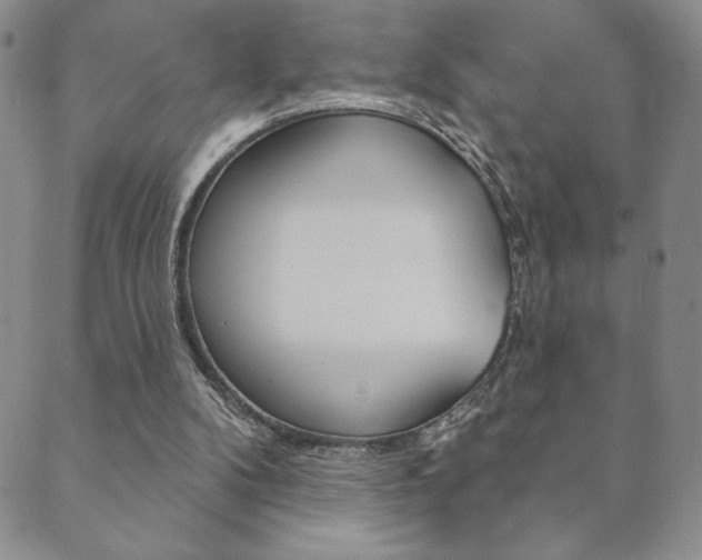 X0000089860104200706281019