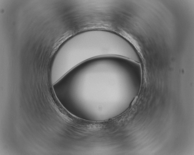 X0000089860105200706281019