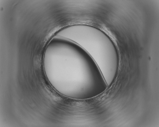 X0000089860107200706281019