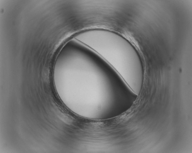 X0000089860108200706281019