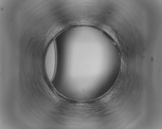 X0000089860109200706281019