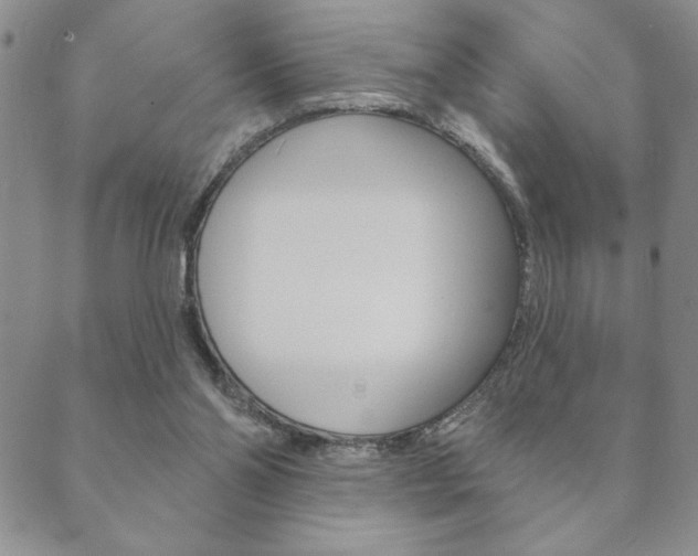 X0000089860110200706281019