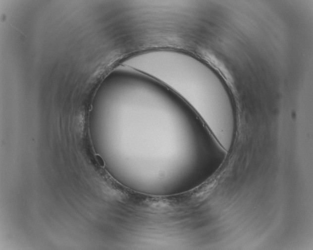 X0000089860113200706281019