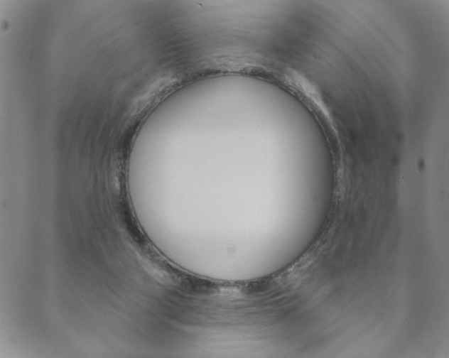 X0000089860114200706281019