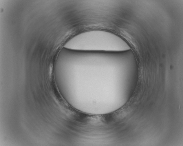 X0000089860118200706281019