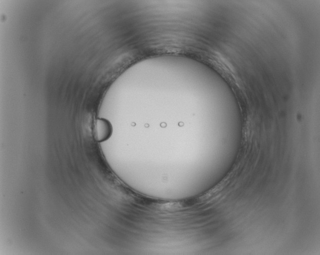 X0000089860122200706281019