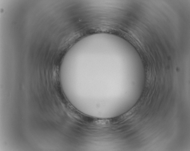 X0000089860126200706281019