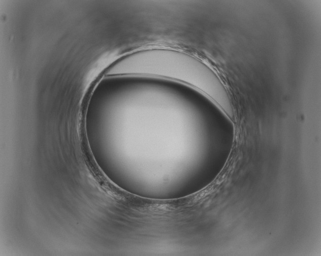 X0000089860152200706281018