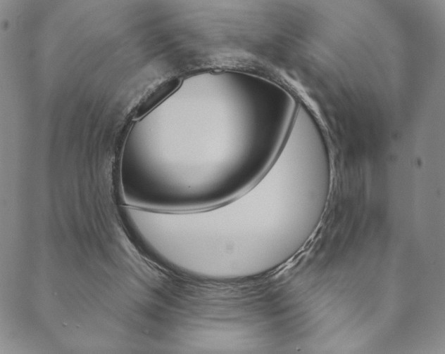 X0000089860154200706281018