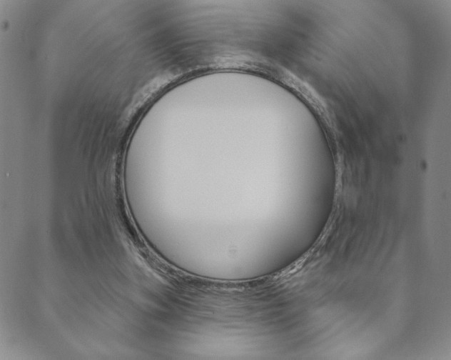 X0000089860155200706281018