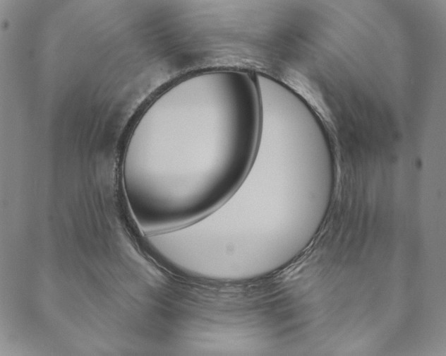 X0000089860156200706281018