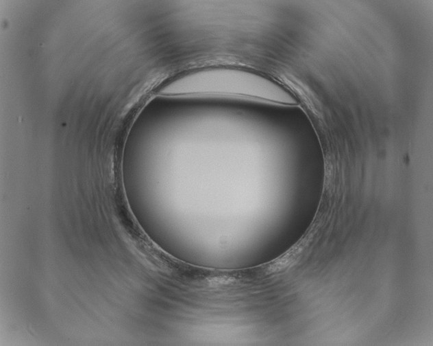 X0000089860158200706281018