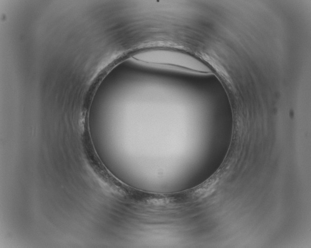 X0000089860160200706281018