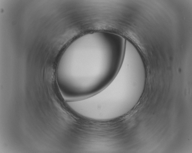 X0000089860164200706281018