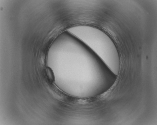 X0000089860166200706281018