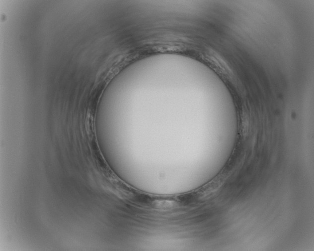X0000089860169200706281018