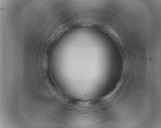 X0000089860170200706281018
