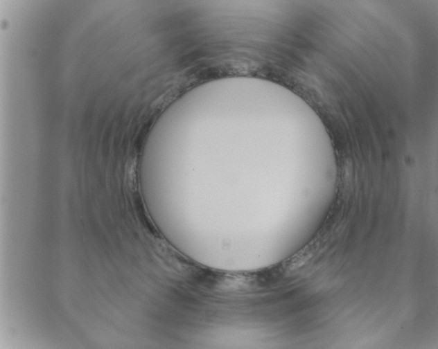 X0000089860177200706281018