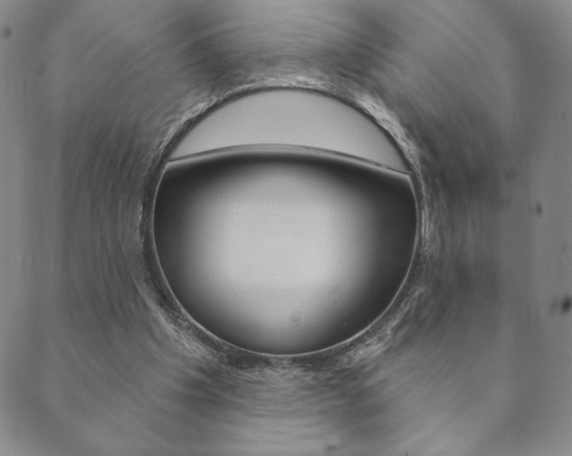 X0000089860201200706281018
