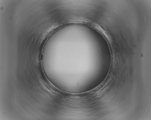 X0000089860203200706281018