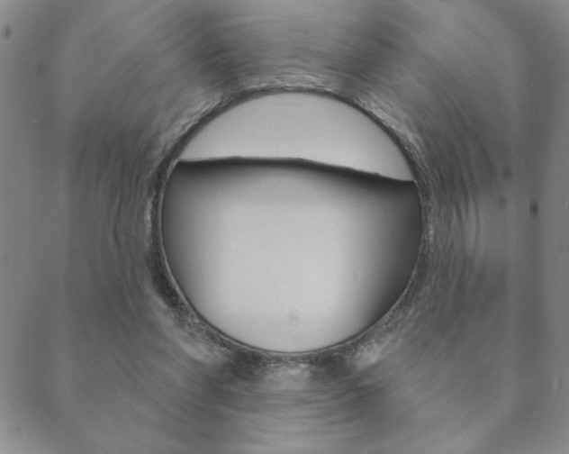 X0000089860206200706281018