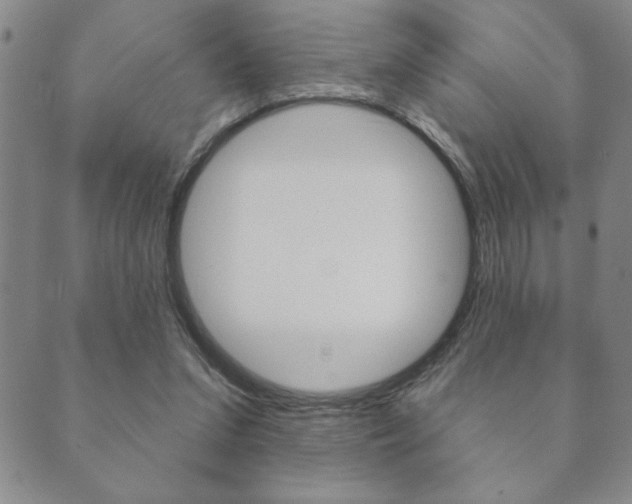 X0000089860207200706281018
