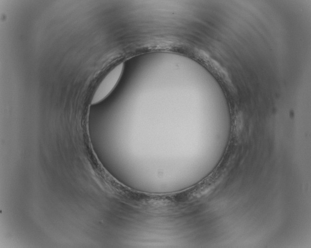 X0000089860209200706281018