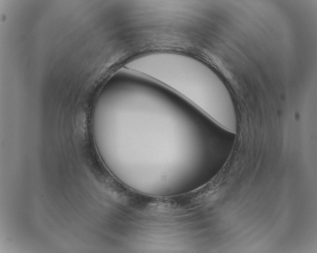 X0000089860211200706281018