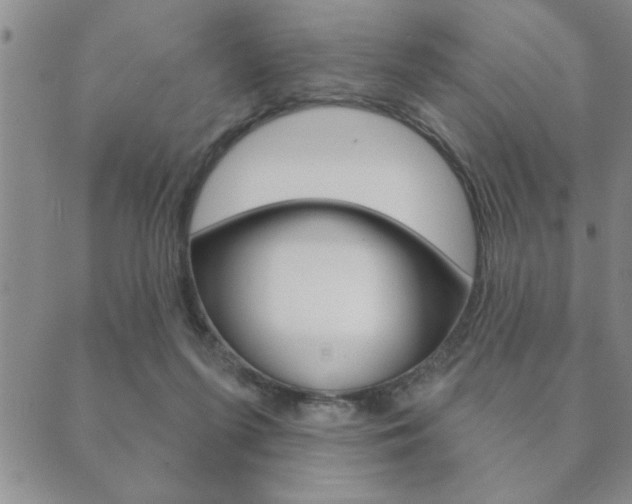 X0000089860215200706281017