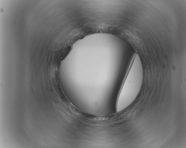 X0000089860225200706281017
