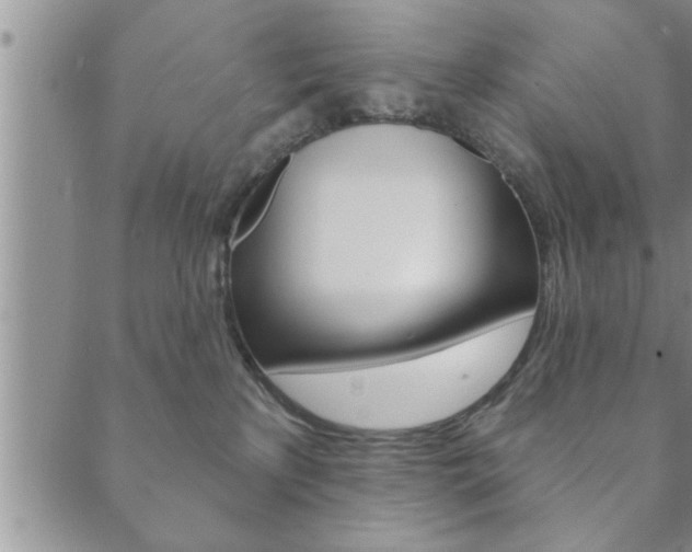 X0000089860233200706281017