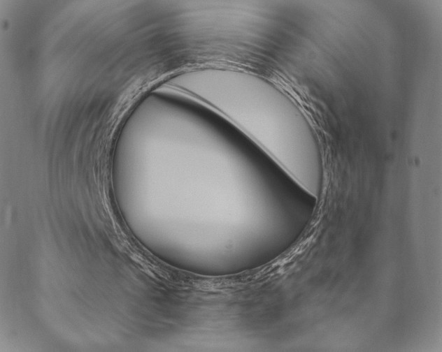 X0000089860241200706281016