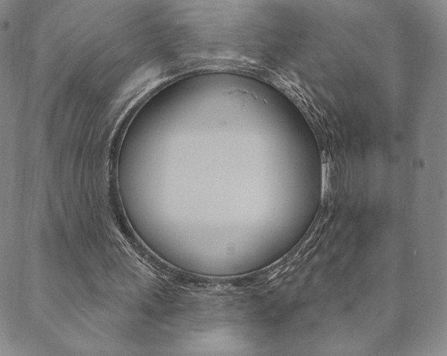 X0000089860243200706281016