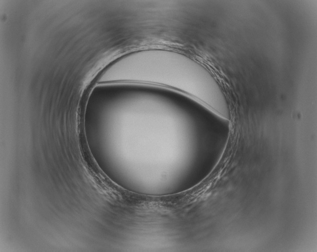 X0000089860244200706281016