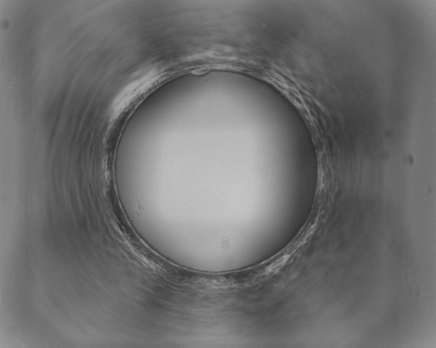 X0000089860245200706281016