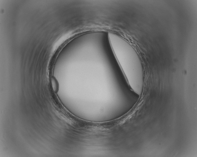 X0000089860246200706281016