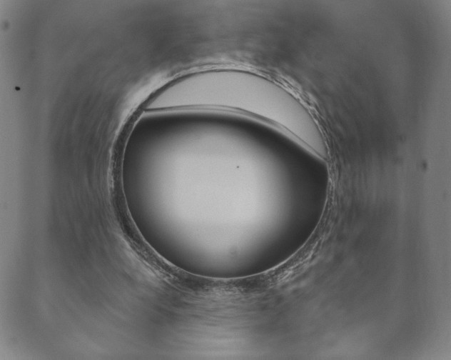 X0000089860248200706281016