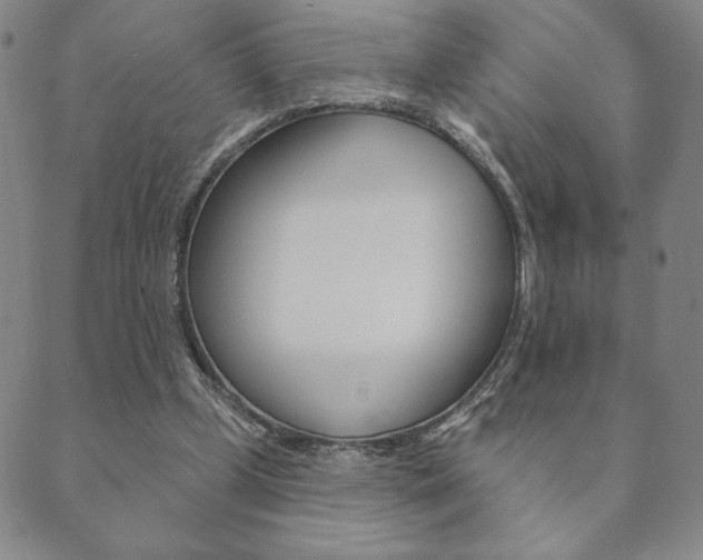 X0000089860249200706281016