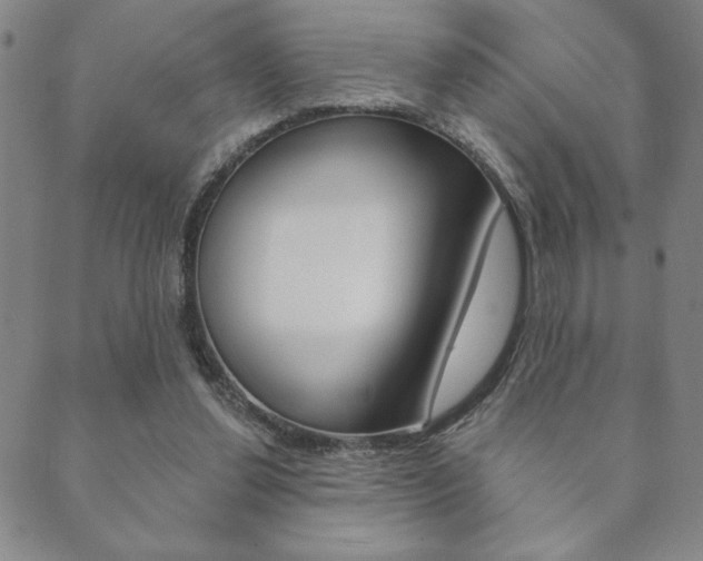 X0000089860252200706281016