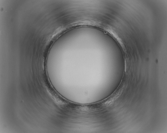 X0000089860253200706281016