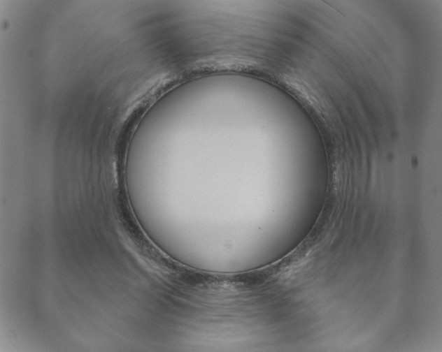 X0000089860254200706281017
