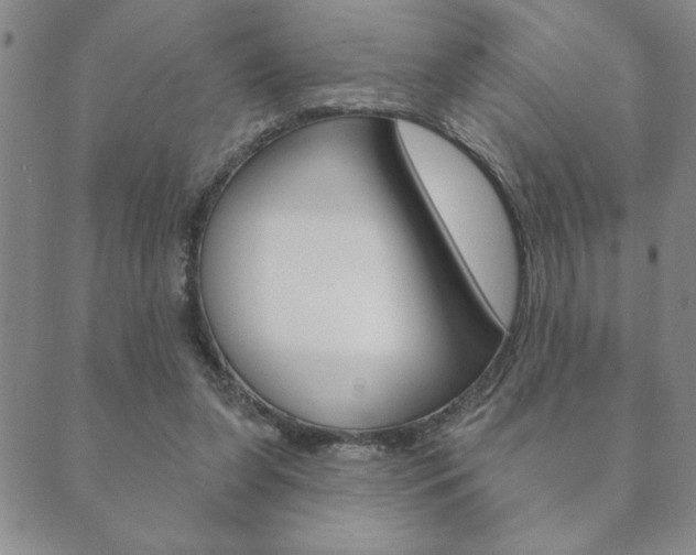 X0000089860255200706281017
