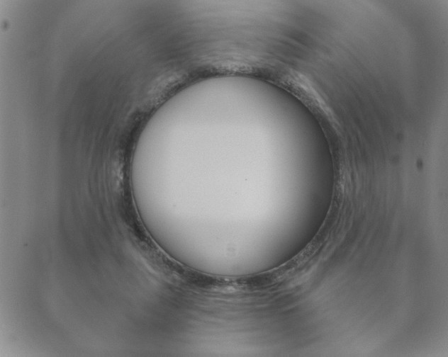 X0000089860259200706281017