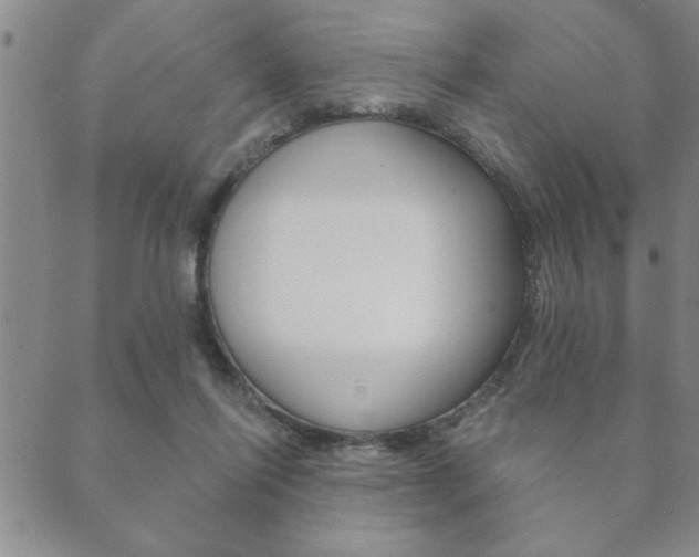 X0000089860262200706281017